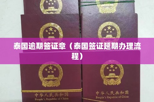 泰国逾期签证章（泰国签证延期办理流程）  第1张