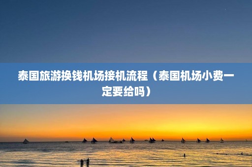 泰国旅游换钱机场接机流程（泰国机场小费一定要给吗）