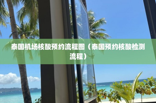 泰国机场核酸预约流程图（泰国预约核酸检测流程）