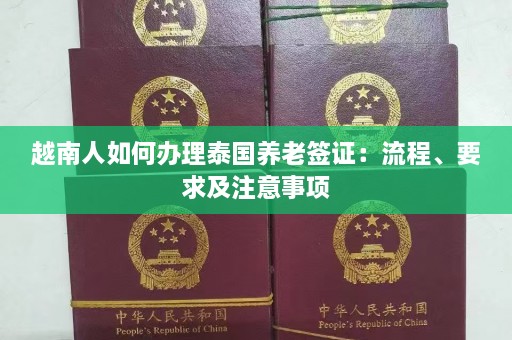 越南人如何办理泰国养老签证：流程、要求及注意事项