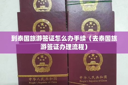 到泰国旅游签证怎么办手续（去泰国旅游签证办理流程）  第1张