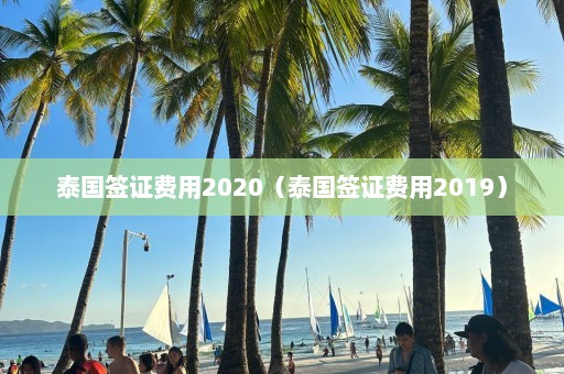 泰国签证费用2020（泰国签证费用2019）