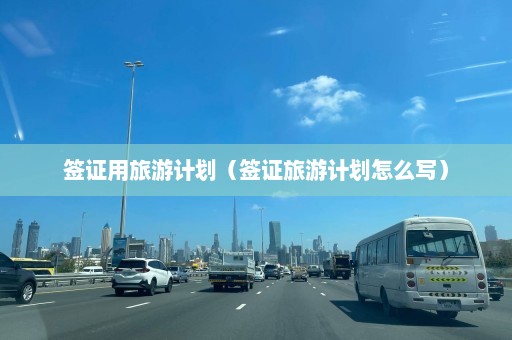 签证用旅游计划（签证旅游计划怎么写）