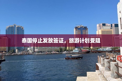 泰国停止发放签证，旅游计划受阻