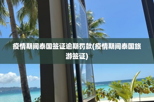 疫情期间泰国签证逾期罚款(疫情期间泰国旅游签证)