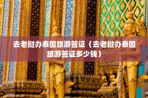 去老挝办泰国旅游签证（去老挝办泰国旅游签证多少钱）  第1张