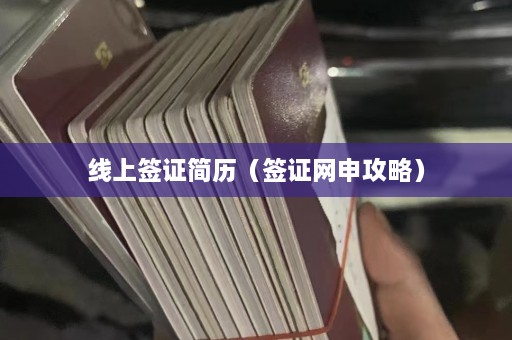 线上签证简历（签证网申攻略）