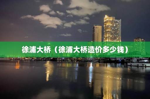 徐浦大桥（徐浦大桥造价多少钱）  第1张