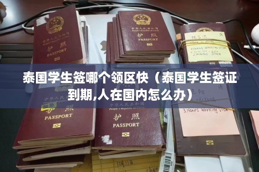 泰国学生签哪个领区快（泰国学生签证到期,人在国内怎么办）