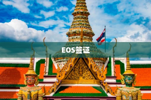 EOS签证  第1张