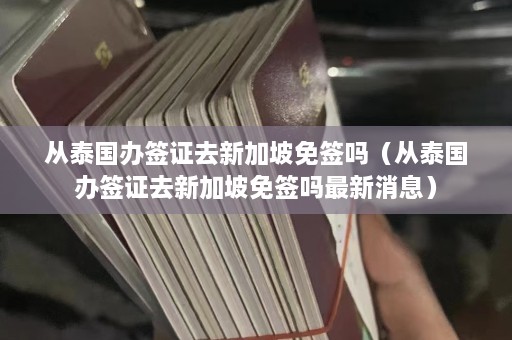 从泰国办签证去新加坡免签吗（从泰国办签证去新加坡免签吗最新消息）