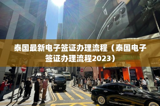 泰国最新电子签证办理流程（泰国电子签证办理流程2023）  第1张