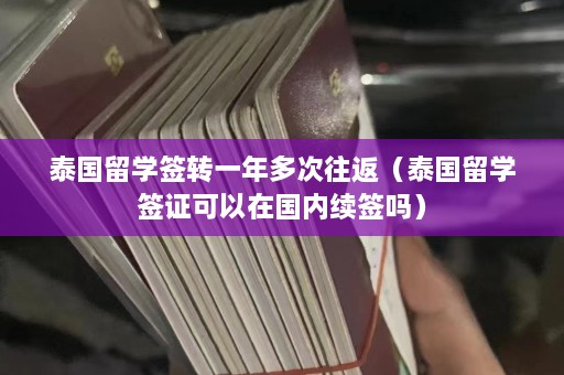 泰国留学签转一年多次往返（泰国留学签证可以在国内续签吗）  第1张