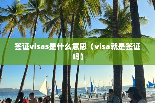 签证visas是什么意思（visa就是签证吗）