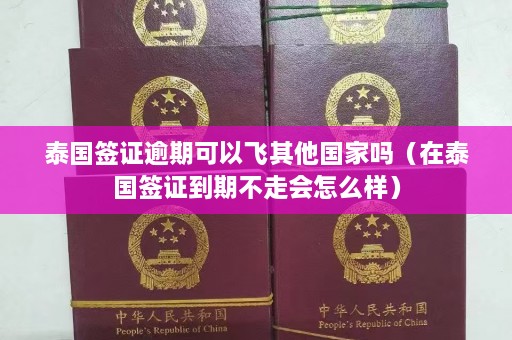 泰国签证逾期可以飞其他国家吗（在泰国签证到期不走会怎么样）  第1张