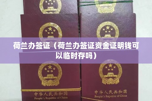 荷兰办签证（荷兰办签证资金证明钱可以临时存吗）  第1张