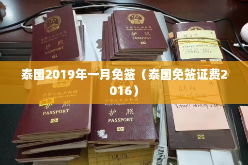 泰国2019年一月免签（泰国免签证费2016）  第1张