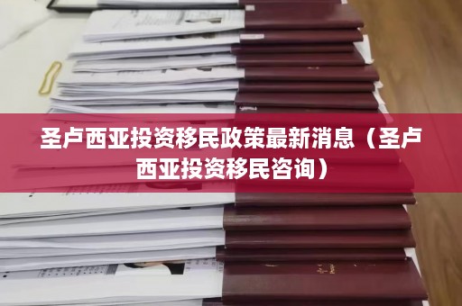 圣卢西亚投资移民政策最新消息（圣卢西亚投资移民咨询）  第1张