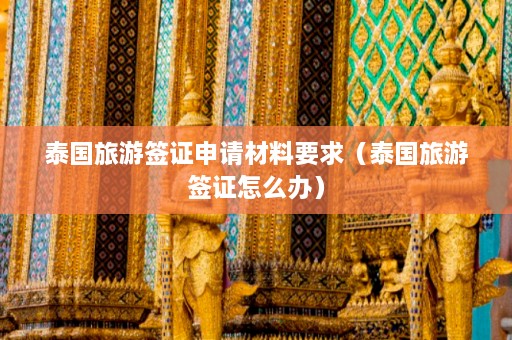 泰国旅游签证申请材料要求（泰国旅游签证怎么办）  第1张