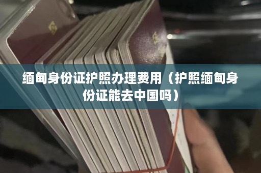  *** 身份证护照办理费用（护照 *** 身份证能去中国吗）  第1张