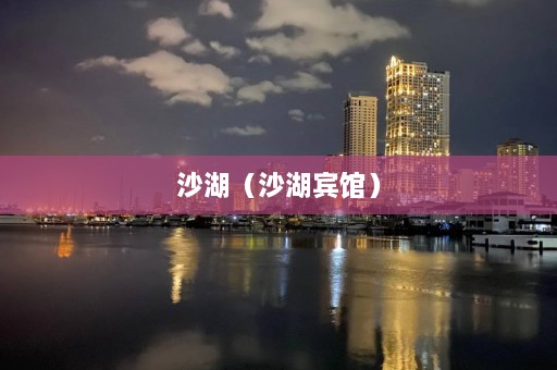 沙湖（沙湖宾馆）  第1张