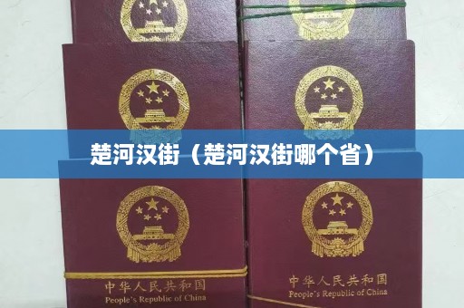 楚河汉街（楚河汉街哪个省）  第1张