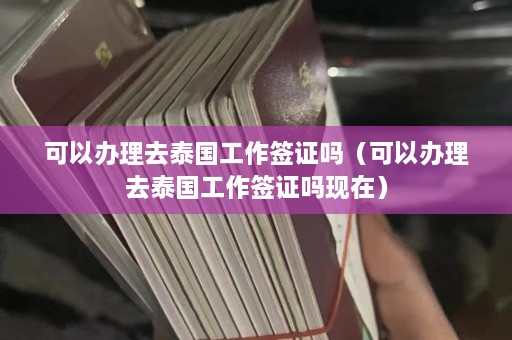 可以办理去泰国工作签证吗（可以办理去泰国工作签证吗现在）  第1张