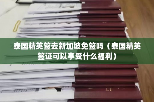 泰国精英签去新加坡免签吗（泰国精英签证可以享受什么福利）  第1张