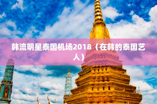 韩流明星泰国机场2018（在韩的泰国艺人）