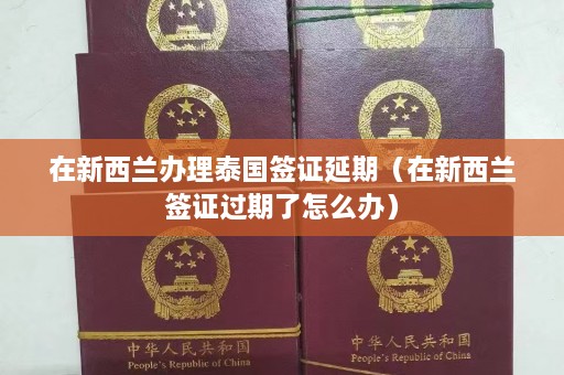 在新西兰办理泰国签证延期（在新西兰签证过期了怎么办）  第1张