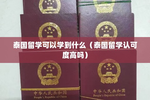 泰国留学可以学到什么（泰国留学认可度高吗）  第1张