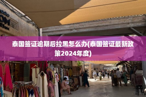 泰国签证逾期后拉黑怎么办(泰国签证最新政策2024年度)