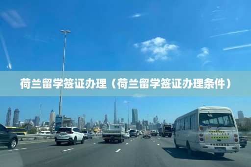 荷兰留学签证办理（荷兰留学签证办理条件）