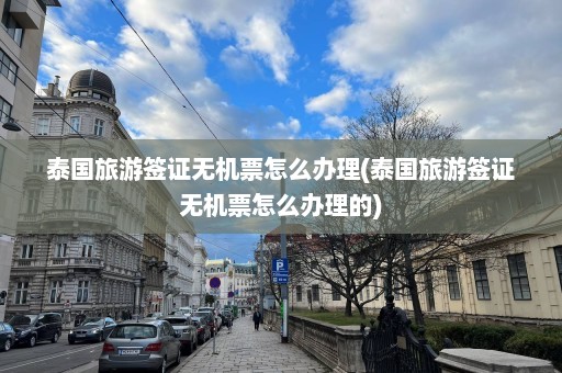 泰国旅游签证无机票怎么办理(泰国旅游签证无机票怎么办理的)