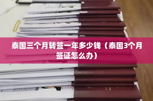 泰国三个月转签一年多少钱（泰国3个月签证怎么办）  第1张