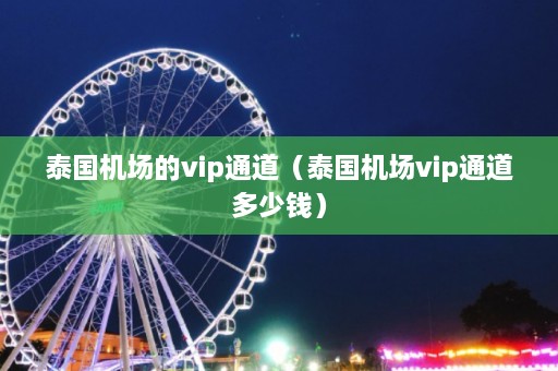 泰国机场的vip通道（泰国机场vip通道多少钱）  第1张