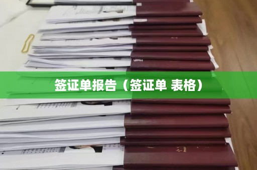 签证单报告（签证单 表格）  第1张