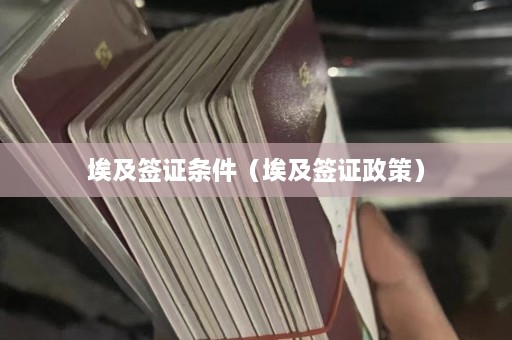 埃及签证条件（埃及签证政策）  第1张