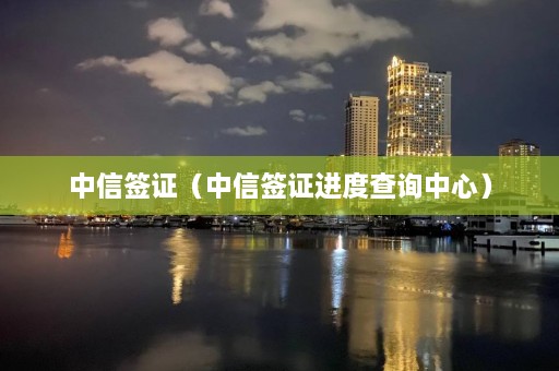 中信签证（中信签证进度查询中心）