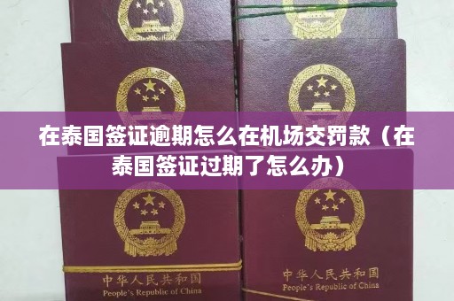 在泰国签证逾期怎么在机场交罚款（在泰国签证过期了怎么办）  第1张