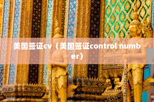 美国签证cv（美国签证control number）  第1张