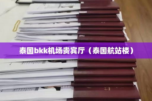 泰国bkk机场贵宾厅（泰国航站楼）  第1张