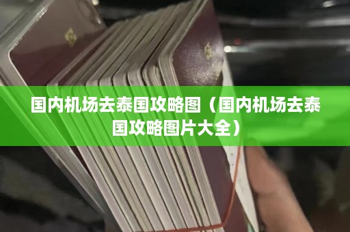 国内机场去泰国攻略图（国内机场去泰国攻略图片大全）  第1张