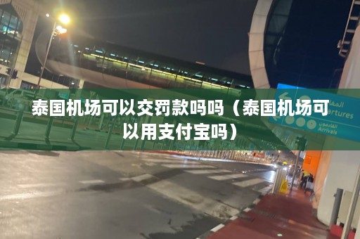 泰国机场可以交罚款吗吗（泰国机场可以用支付宝吗）  第1张