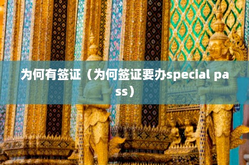 为何有签证（为何签证要办special pass）