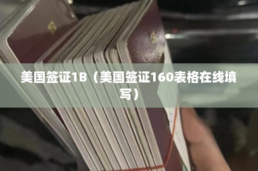 美国签证1B（美国签证160表格在线填写）