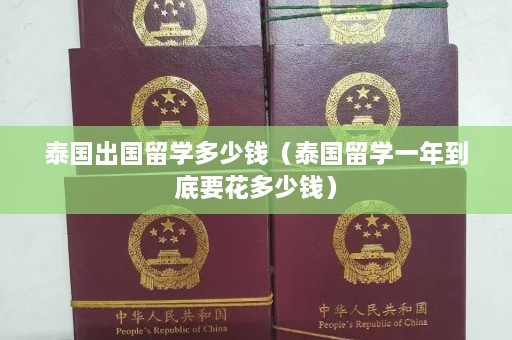 泰国出国留学多少钱（泰国留学一年到底要花多少钱）