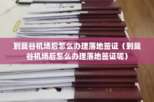 到曼谷机场后怎么办理落地签证（到曼谷机场后怎么办理落地签证呢）  第1张