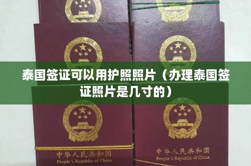 泰国签证可以用护照照片（办理泰国签证照片是几寸的）  第1张