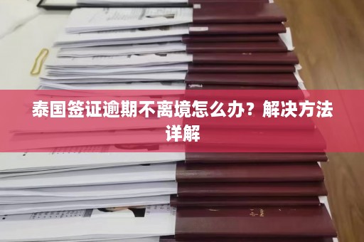 泰国签证逾期不离境怎么办？解决 *** 详解  第1张